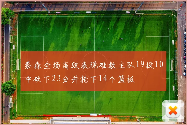 泰森全场高效表现难救主队19投10中砍下23分并抢下14个篮板